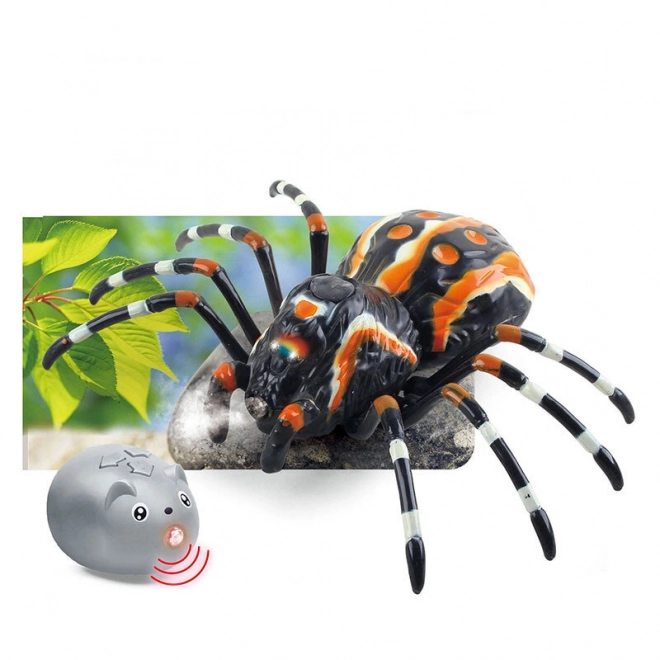 Dálkově ovládaný pavouk Tarantula Infrared Black R/C ST