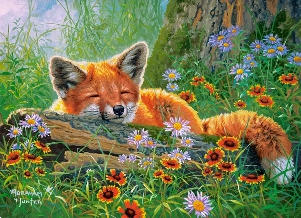 Puzzle Foxy Dreams