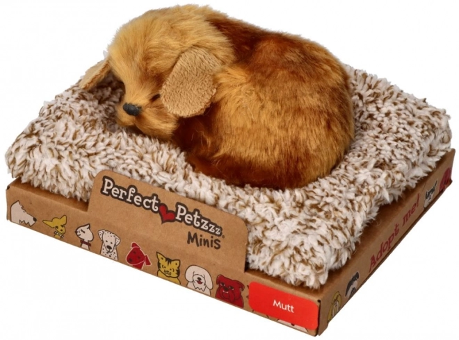 Malý psík Perfect Petzzz