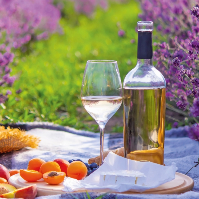 Poznámkový kalendář Provence 2026