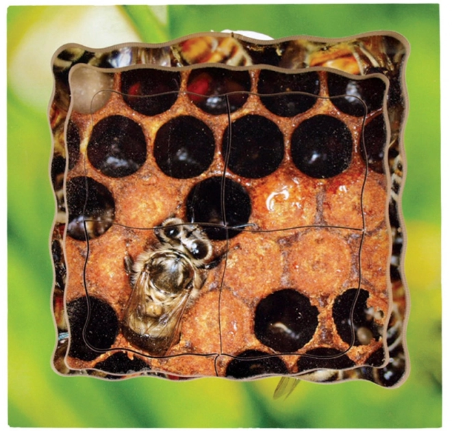 Just Jigsaws 600 Včela – dřevěné vrstvené puzzle