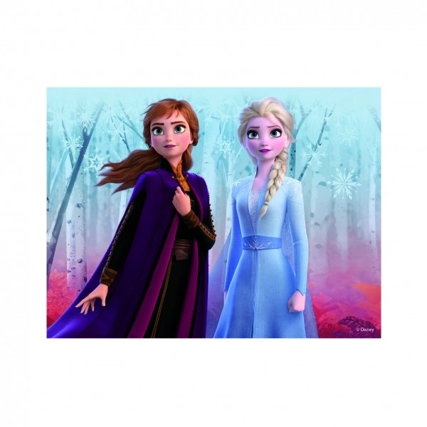FROZEN II 12 Dřevěné licenční kostky