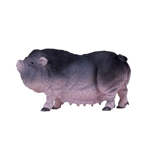 Mojo Prase břichaté