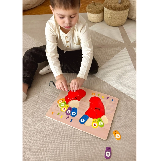 Tooky Toy dřevěná vzdělávací skládačka nožičky pro učení počítání a barev