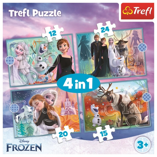 Frozen Puzzle 4v1 (12, 15, 20, 24 dílků) - Nádherný svět