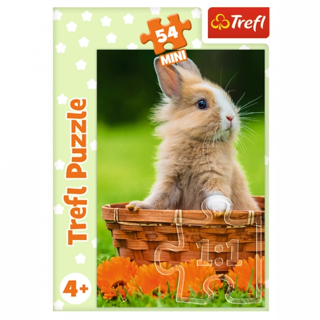 Minipuzzle 54 dílků Zvířátka - mláďata 4 druhy v krabičce 9x6,5x4cm 40ks v boxu