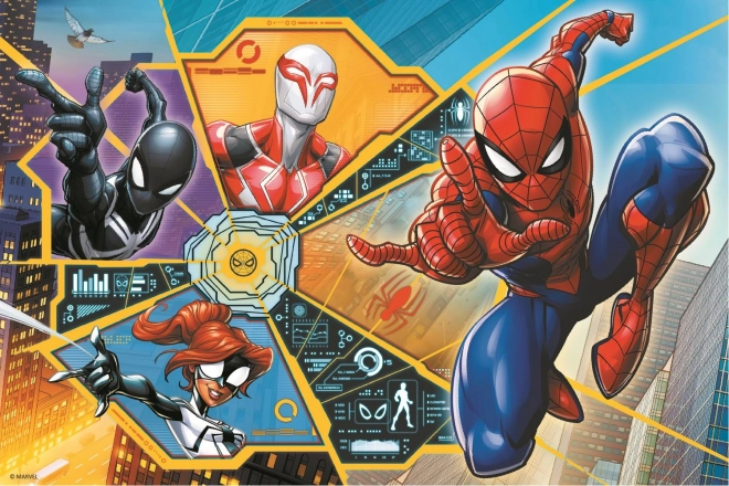 Puzzle Spiderman na síti 60 dílků