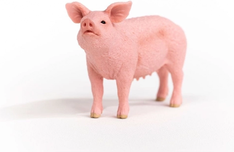 Podporuje učení a fantazii