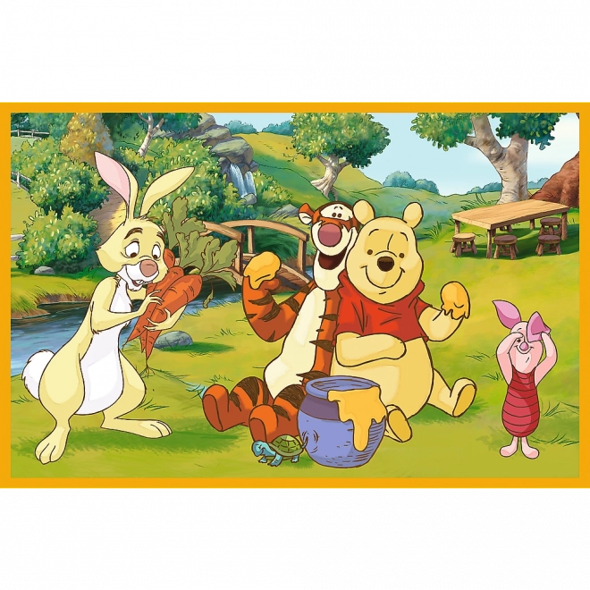Puzzle 2x24 Disney Medvídek Pú - Den na zahradě