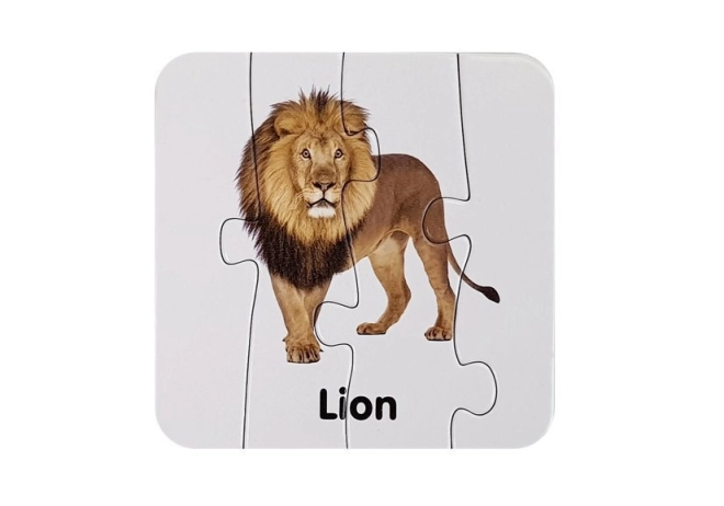 Realistické ilustrace divokých zvířat