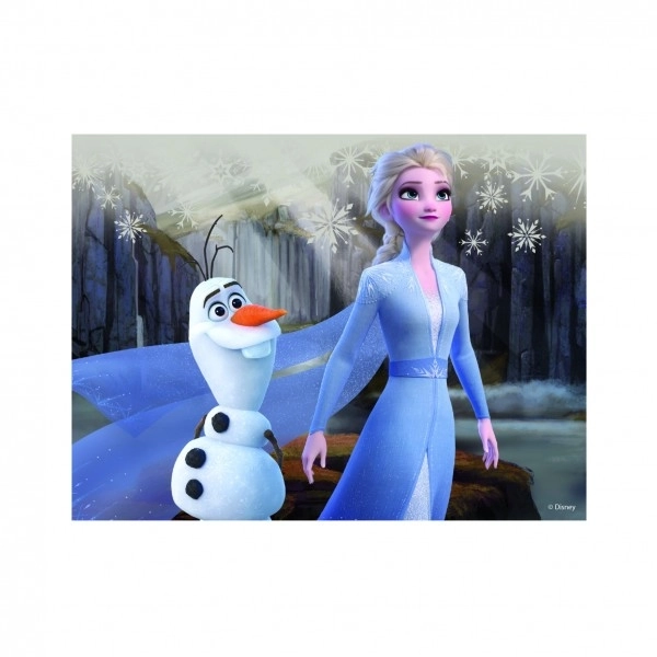 FROZEN II 12 Dřevěné licenční kostky
