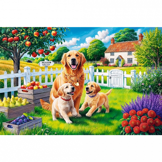 Puzzle - 300 dílků - Pejsci na venkově Trefl