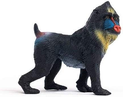 Skvělé pro vzdělávací a kreativní hru