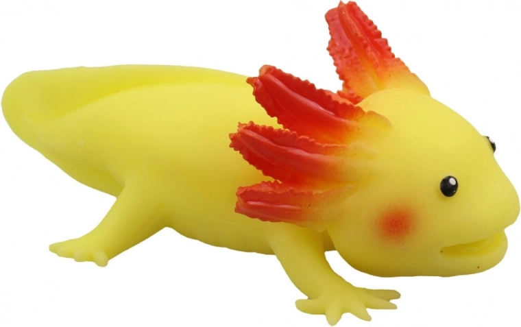 Detailní zpracování axolotla