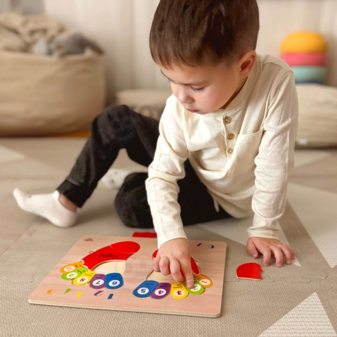 Tooky Toy dřevěná vzdělávací skládačka nožičky pro učení počítání a barev