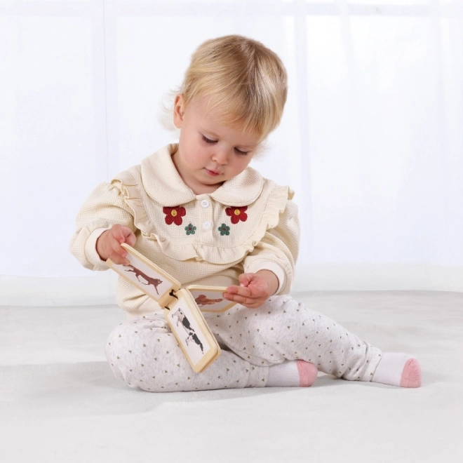 Vzdělávací box XXL Montessori Tooky Toy