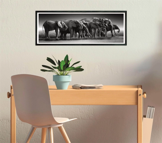 Panorama Puzzle Stádo Slonů