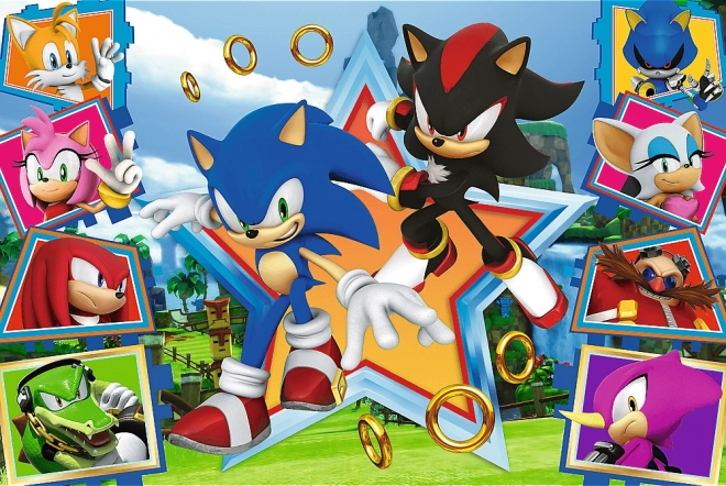 Puzzle Seznamte se se Sonicem/Sonic the Hedgehog 100 dílků 41x27,5cm v krabici 29x19x4cm