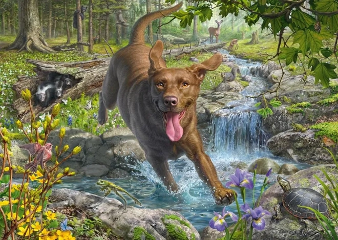 Puzzle Retrívr na jaře 1000 dílků