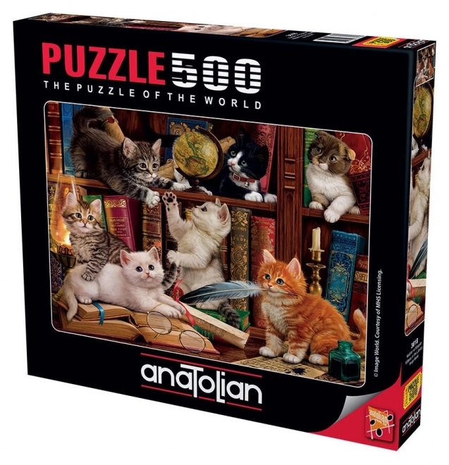 Puzzle Kočičky v knihovně 500 dílků