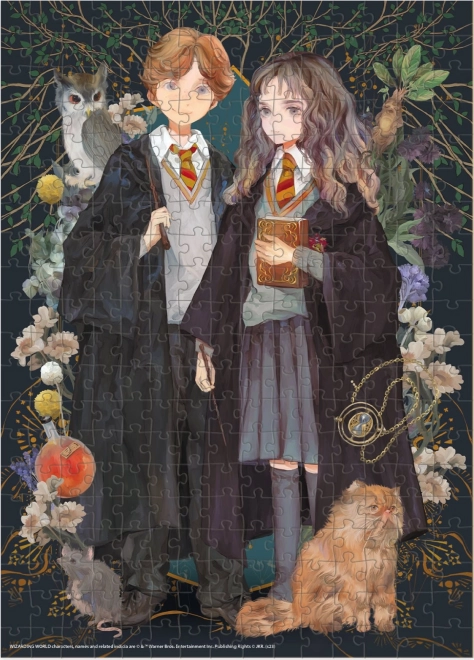 Puzzle Harry Potter: Ron a Hermiona 300 dílků