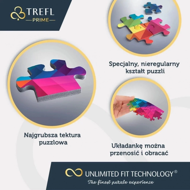 TREFL Puzzle UFT Harry Potter: Bradavické koleje 9000 dílků