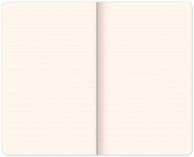 Notique notes struktury