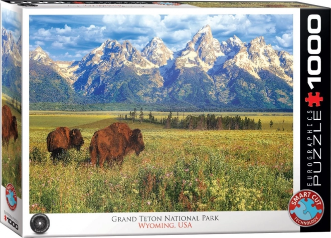 Puzzle nádherný Národní park Grand Teton 1000 dílků
