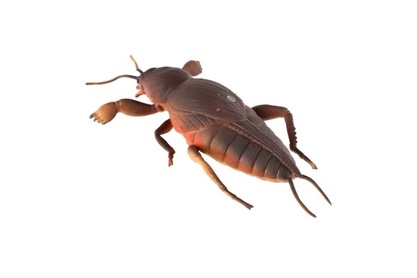 Antistresový silikonový gekon 18cm