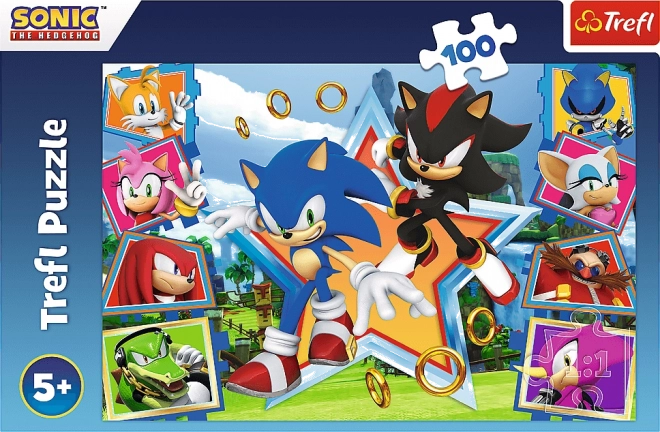 Puzzle Seznamte se se Sonicem/Sonic the Hedgehog 100 dílků 41x27,5cm v krabici 29x19x4cm