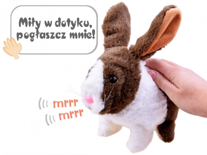 Interaktivní králíček s mrkvičkou – Hnědá
