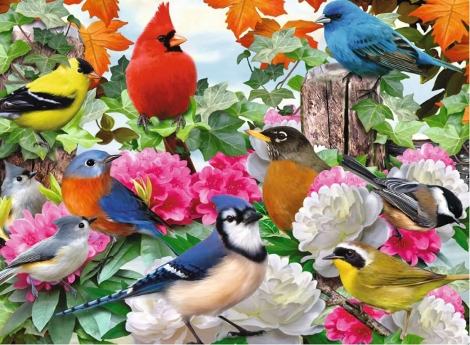 Puzzle Zahradní Ptáci Ravensburger 500 Dílů
