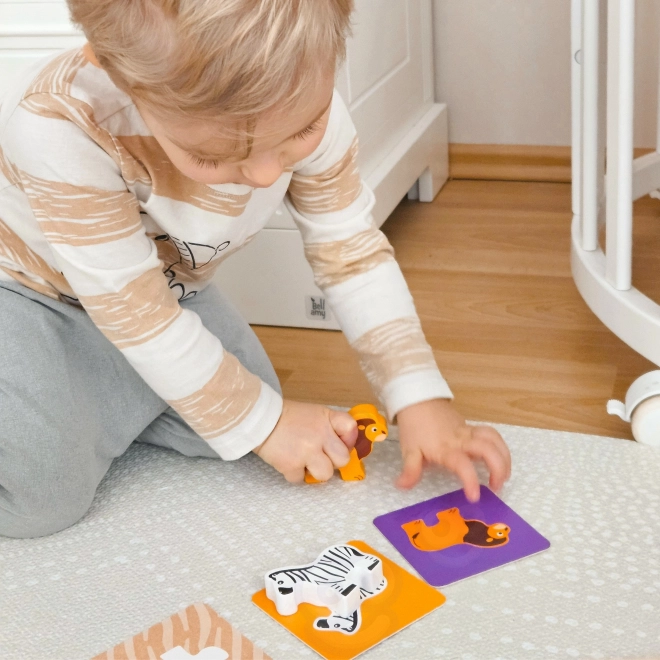 Montessori hra