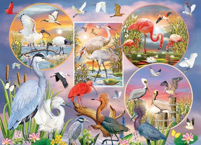 Puzzle okouzlující vodní ptáci 1000 dílků
