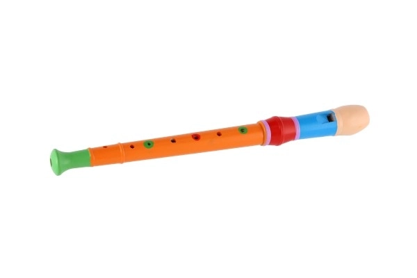 Flétna dřevěná s barevným designem