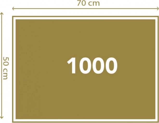 Puzzle 1000 dílků Kompaktní Harry Potter