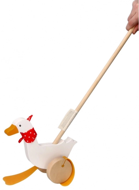 Berta je push-pull husa