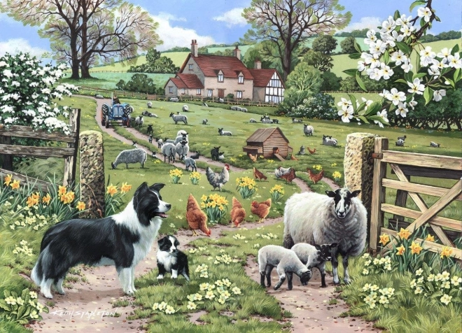 Puzzle Včasné Učení 1000 Dílů
