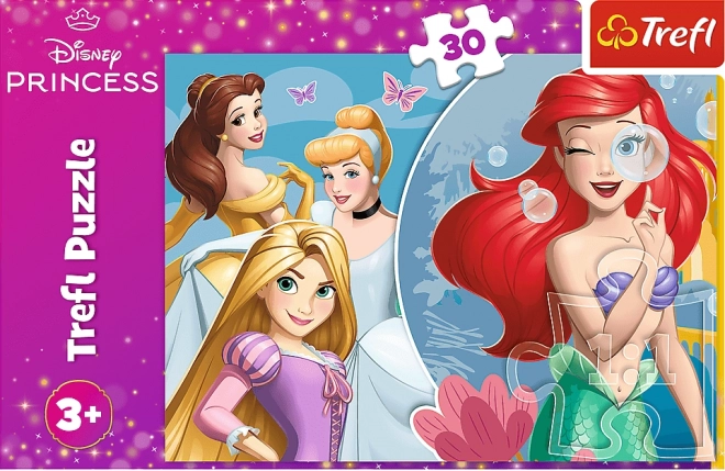 Puzzle 30 dílků Krásný den s princeznami Disney