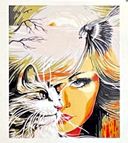 Diamantový obrázek Dívka s kočkou 30x40cm s doplňky v blistru 7x34x3cm