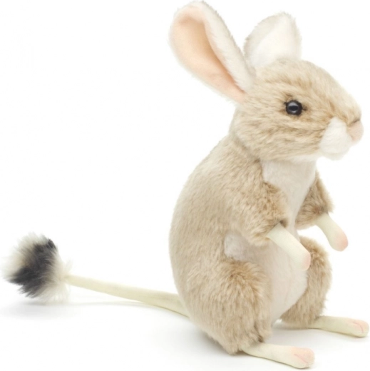 Realistické detaily tarbíka