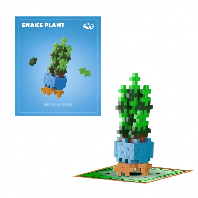 Plus-Plus květina Snake Plant