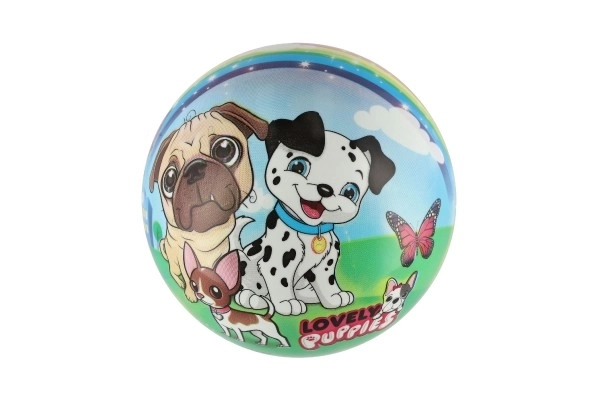 Míč pejsci 23 cm