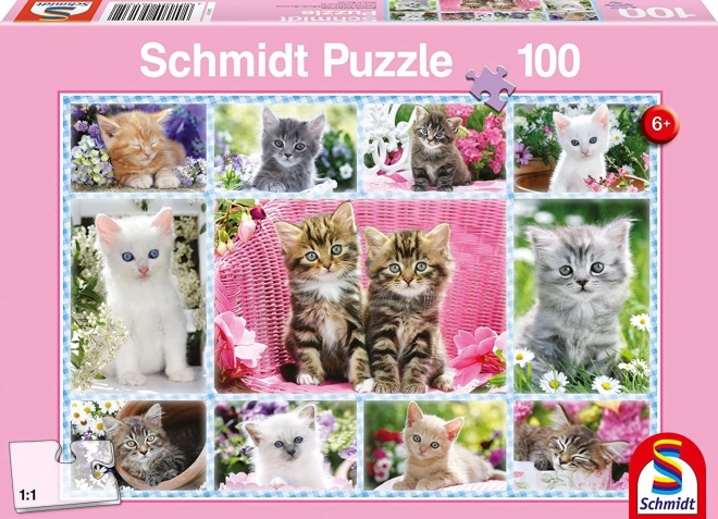 Puzzle Koťata 100 dílků