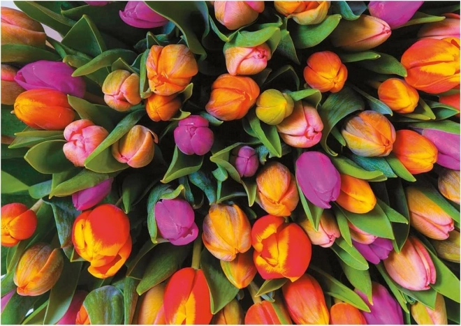 Piatnik puzzle Tulipány 1000 dílků