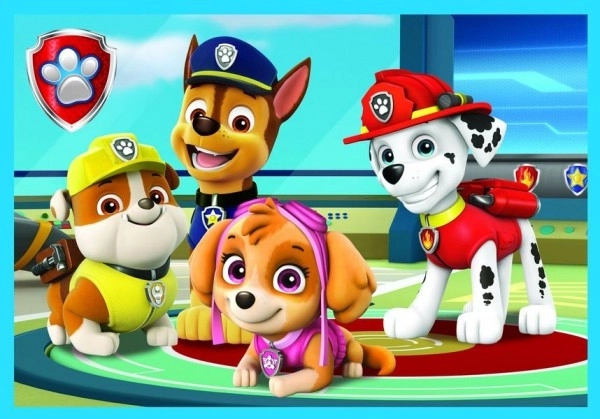 Puzzle Paw Patrol Tlapková Patrola 10v1 Spolehlivý tým v krabici 40x27x6cm