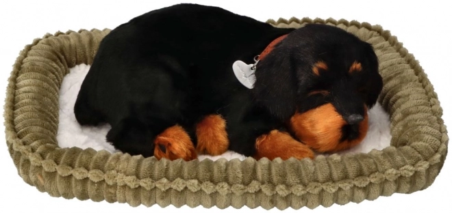 Oddychající štěňátko Rottweiler