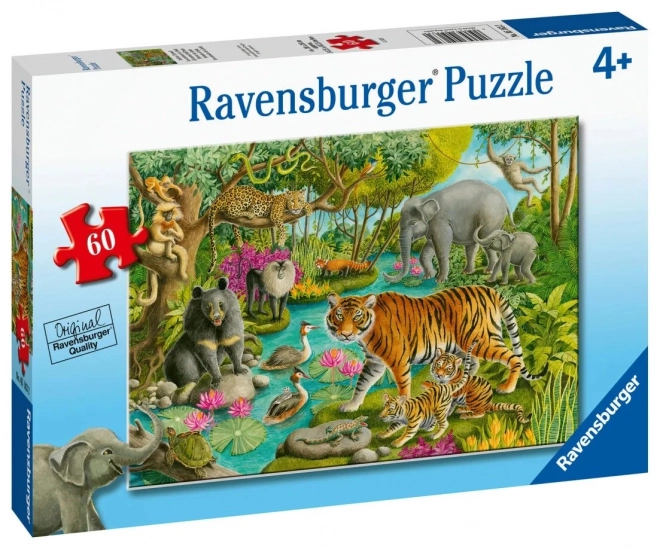 Puzzle zvířata Indie od Ravensburger