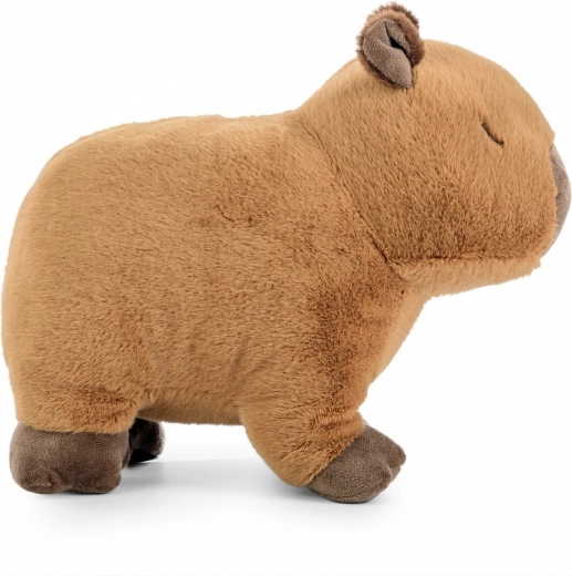 Přirozený, uklidňující design