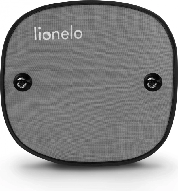 Stínítka do auta Lionelo černé 2 ks
